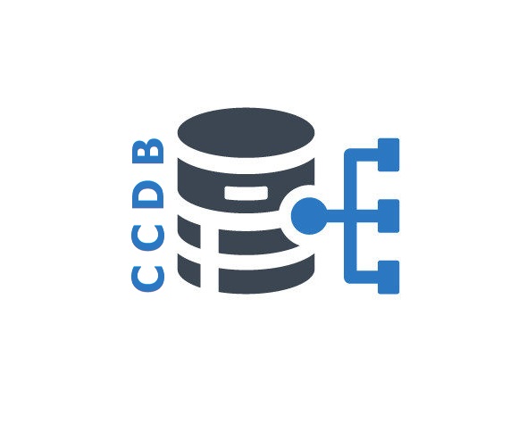 rozwój oprogramowania